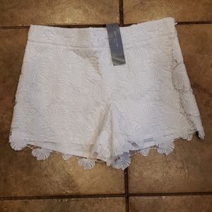 Sale! Ann taylor petite white eyelet shorts 00 new